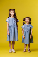 Two little girls  braid long hair in pigtails. Children creative hairstyle. Siblings care friendship love. Girlfriends preschooler elementary school. Brunette older little sister. Yellow background