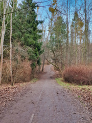Park miejski jesienią