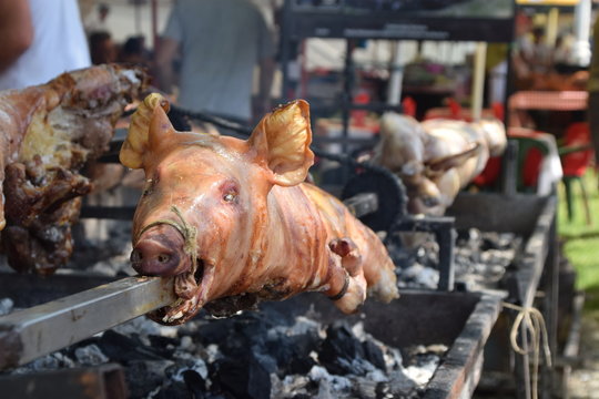 Subotica Bilder Durchsuchen 1,469 Archivfotos, und