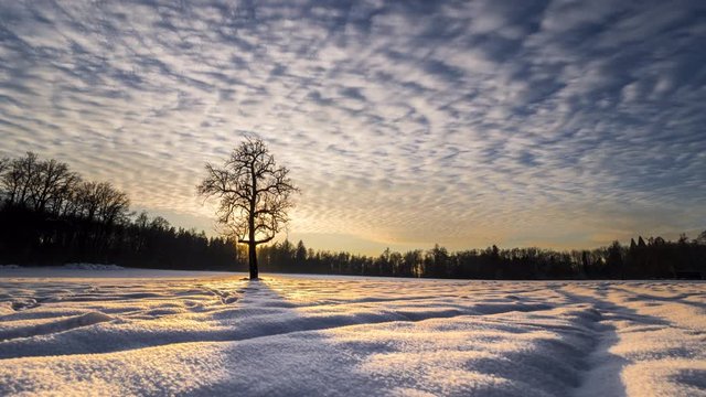 Timelapse of sunset and winter landscape