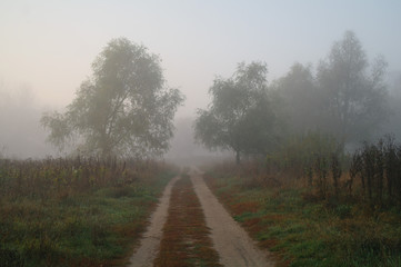 country road in autumn in the mist