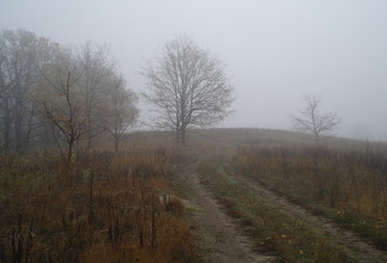 Obraz na płótnie Canvas country road in autumn in the mist