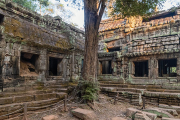 Fototapeta premium Die Tempelanlage Ta Prohm in Kambodscha