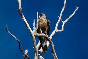 Australia, Northern Territory
