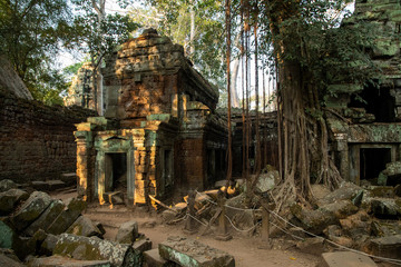 Die Tempelanlage Ta Prohm in Kambodscha