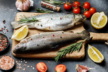 Fresh river trout with spices and ingredient for cooking on dark stone background
