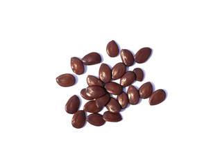 Close up seeds of White Popinac tree