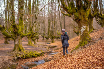 Fototapeta premium Lifestyle, a young woman looking at the beautiful forest in autumn