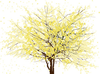 spring tree with yellow blooms and flying petals on white