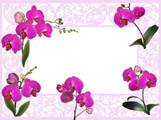 purple orchids in pink decorated frame