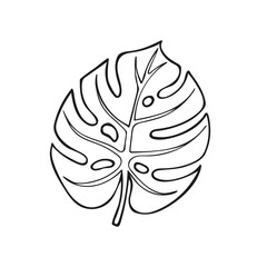 Single hand drawn monstera leaf, exotic tropical leaf. In doodle style, black outline isolated on a white background. Cute element for card, poster, social media banner, sticker. Vector illustration
