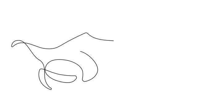 Self drawing simple animation of single continuous one line drawing of Manta Ray. Drawing by hand, black lines on a white background.