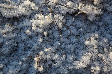 Frost