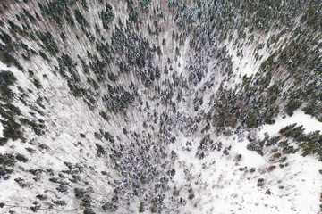 Aerial drone view of a winter landscape. Snow covered forest.