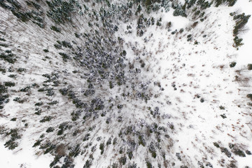 Aerial drone view of a winter landscape. Snow covered forest.
