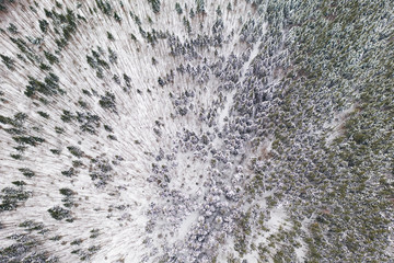 Aerial drone view of a winter landscape. Snow covered forest.