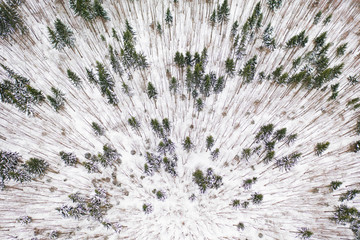 Aerial drone view of a winter landscape. Snow covered forest.