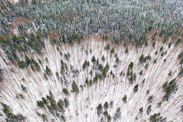 Aerial drone view of a winter landscape. Snow covered forest.