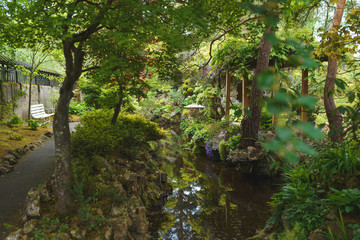 river surrounded by green trees