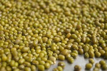 Mung bean