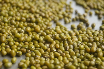 Mung bean