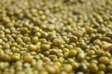 Mung bean