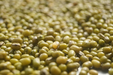 Mung bean