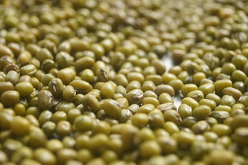Mung bean