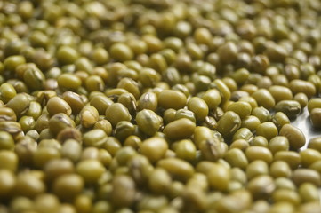 Mung bean