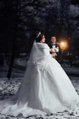 Lovers bride and groom on their winter wedding. The bride and groom in nature. Wedding day. The best day of a young couple. Groom and bride on their wedding day. Love. Evening photoshoot