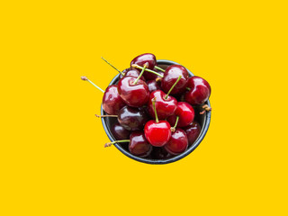 Bunch of freshly picked red glossy sweet cherries in mug on bright yellow background. Summer berries fruits healthy plant based diet superfoods concept