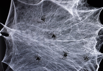 stretched white web and black plastic spiders