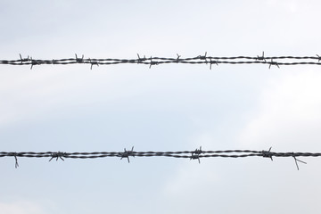 barbed wire isolated on the sky with copy space for your text