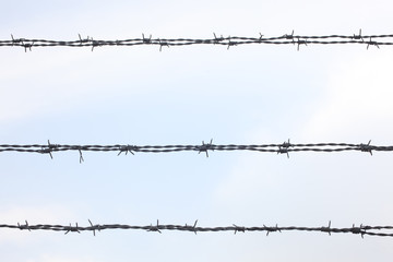 barbed wire isolated on the sky with copy space for your text