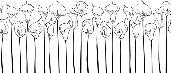 Elegant seamless line pattern with calla flowers, design elements for invitations, cards, print, gift wrap