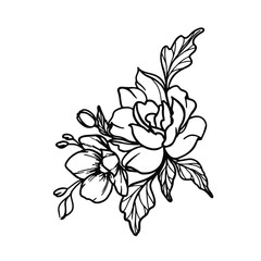 vector flower on white background