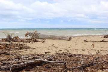 Treibgut an der Küste des Lake Michigan in Amerika