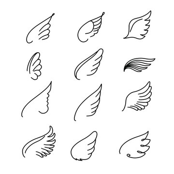 Vector wings icon set. Bird or angel wing silhouette illustration design feather. Wings icon sketch collection hand drawing.