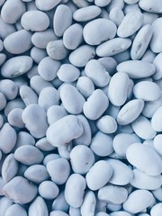  Background with white beans. Blue texture