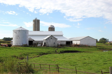 Fototapeta na wymiar Bauernhof in Amerika (Landwirtschaft)
