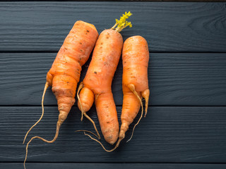 Top view of ugly vegetable with double carrots on black wooden background