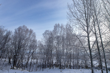 美しい美瑛の樹氷　北海道