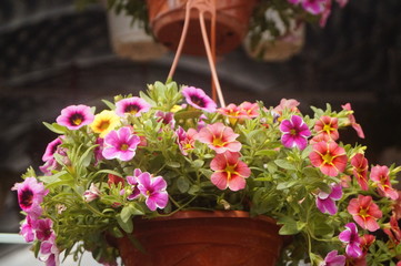 Flower basket
