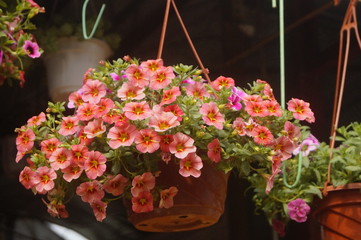 Flower basket