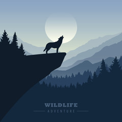 wolf on a cliff howls at full moon blue nature landscape vector illustration EPS10 © krissikunterbunt