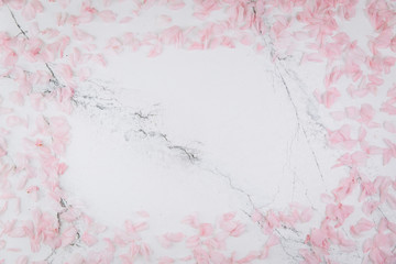Spring composition. Pink petals on a trendy marble background. Flat lay, top view