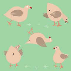 Set of cute pink doves on the delicate green background.  Pigeons in motion – walking, eating grains,standing, laying and their footprints. Minimalistic image of  birds group.