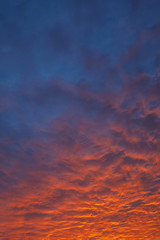 Fototapeta na wymiar Sunrise with clouds Auckland New Zealand