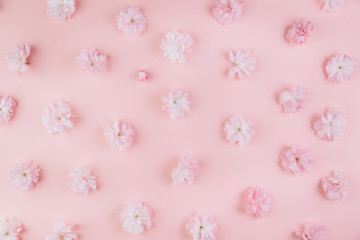 Spring background of painted pink board with branch of flowering cherry branch covered with pink flowers as a border