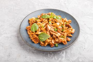 Fried chanterelle mushrooms with basil and spice herbs on gray concrete background. Side view.